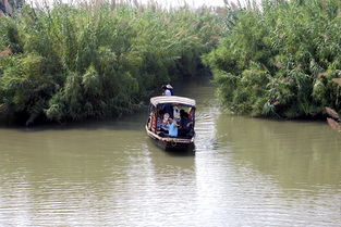 常熟沙家浜旅游節(jié) 讓子彈飛