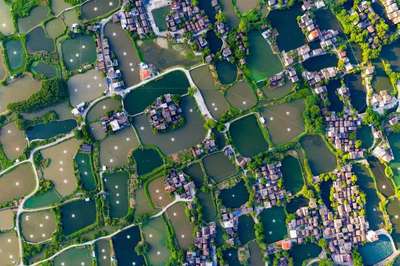 從速度型增長轉向質量型增長,華僑城主動求變